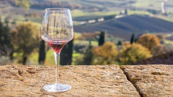 À la découverte de la typicité des vins : un voyage au cœur des terroirs uniques
