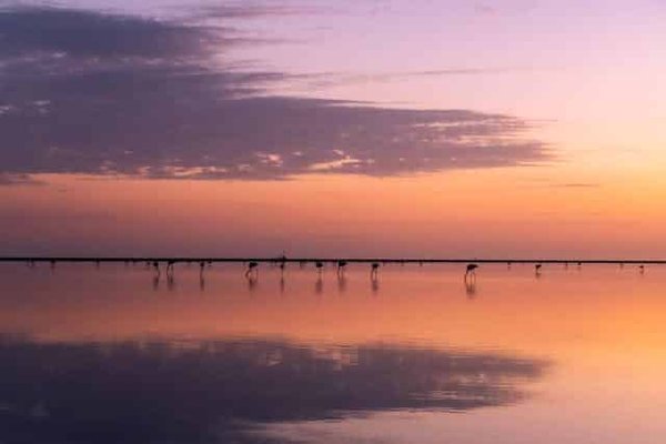 Quel camping 3 étoiles choisir en Camargue?