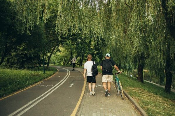 Découvrez les meilleures pistes cyclables de l'Île de Ré