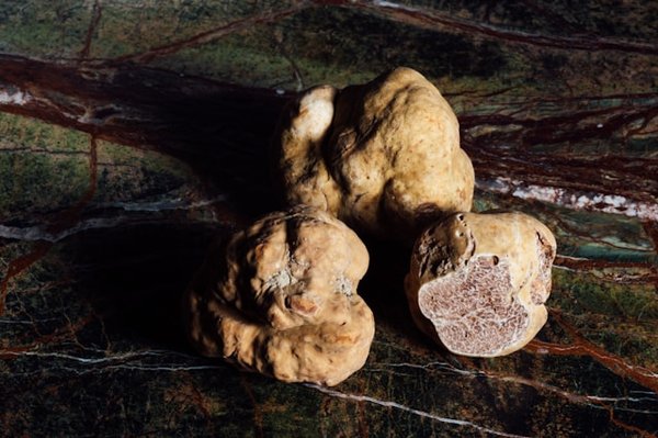 Vivez la magie de la fête de la truffe à Sarlat !