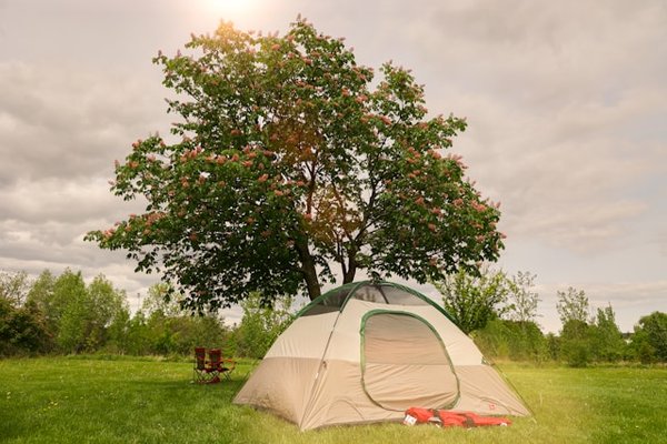 Vacances uniques dans les campings à la ferme en Drôme